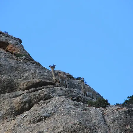 Ca La Leonor, Ecoturisme Terra Alta Bot