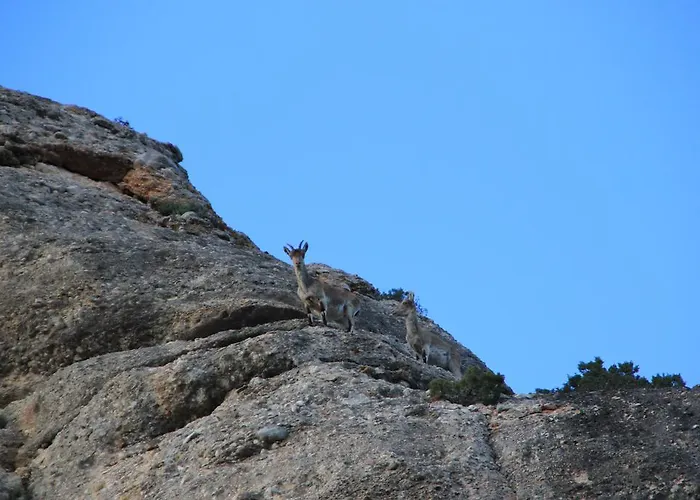 Ca La Leonor, Ecoturisme Terra Alta Bot